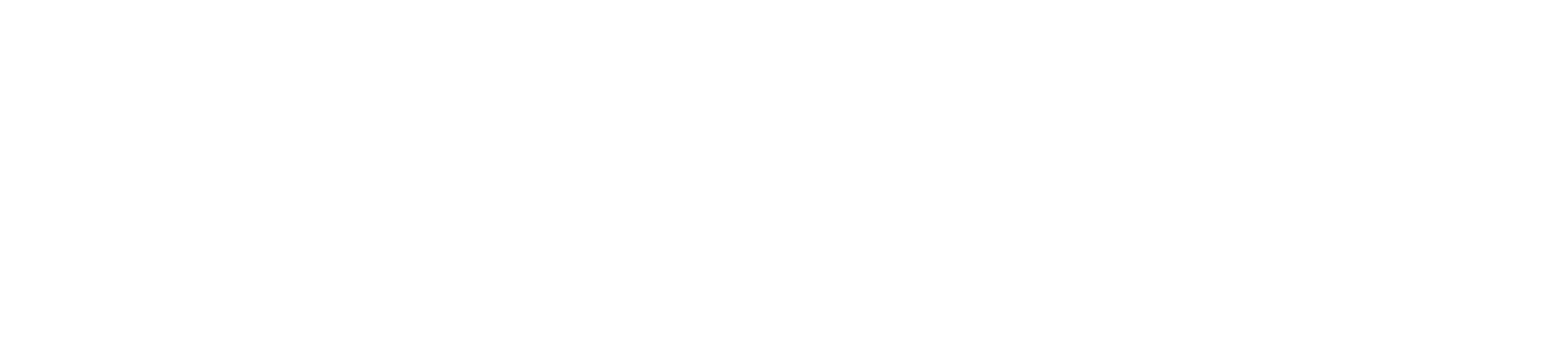 daytatech-logo-white